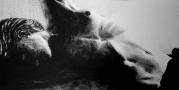 Nicht klicken - Do not click ! Grosses Bild ffnet sich von selbst